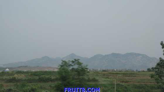 tangshan&shandong 302.jpg