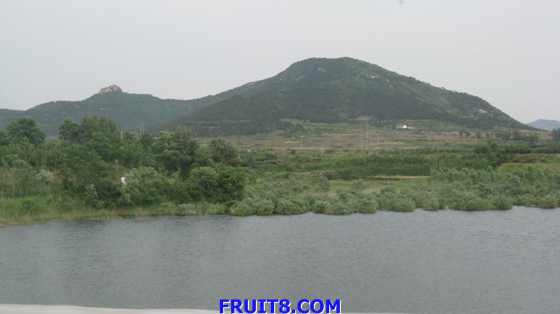 tangshan&shandong 314.jpg