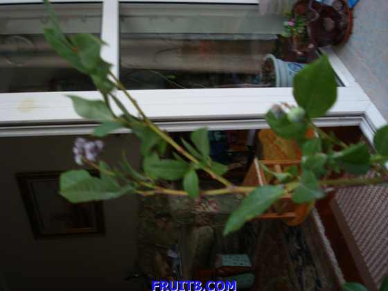 DSC01755.JPG