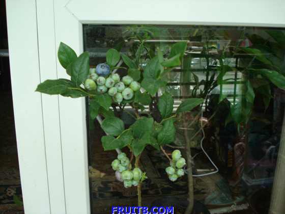 DSC03061.JPG