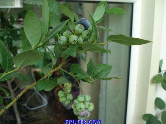 DSC03065.JPG