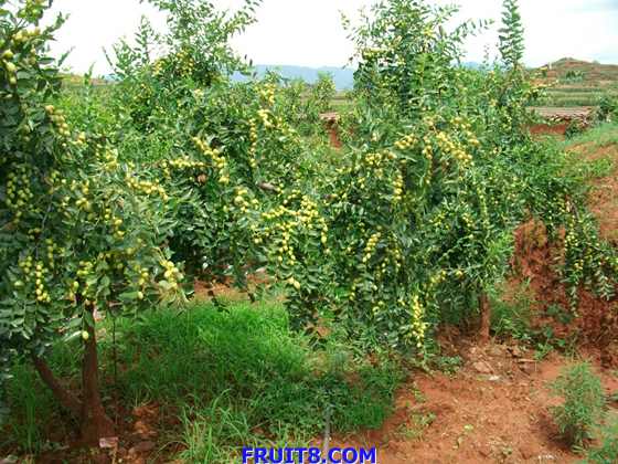SANY0964.JPG