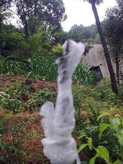 20090701_004.jpg