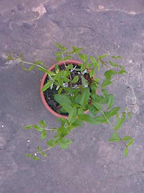 img023.jpg