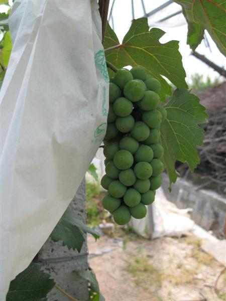 ��Ƭ 005 (����) (3).jpg