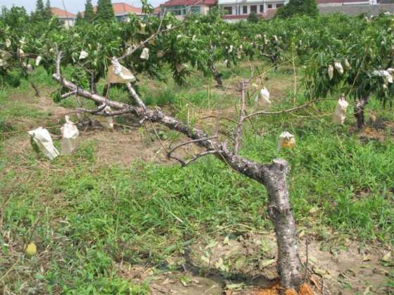 ��Ƭ 096 (����).jpg