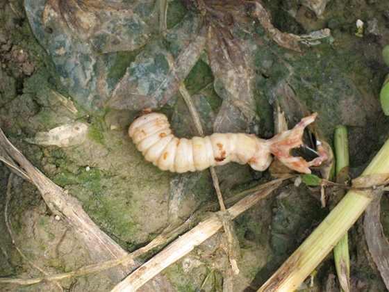 ��Ƭ 001 (����).jpg