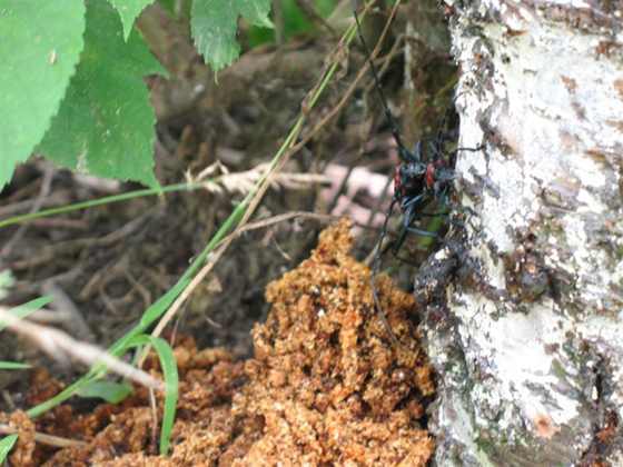 ��Ƭ 007 (����).jpg