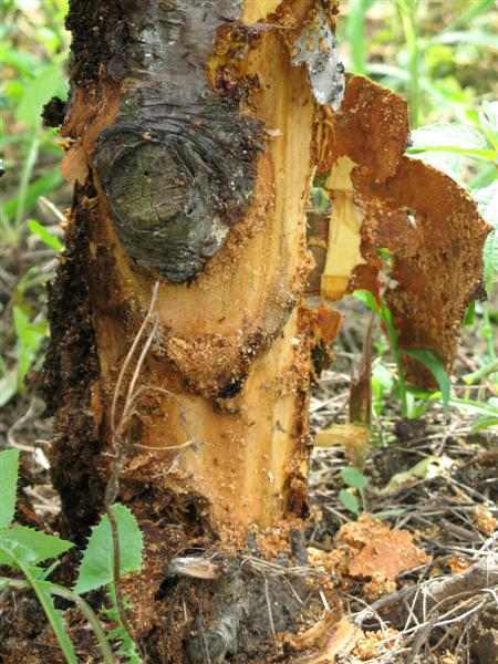 ��Ƭ 003 (����).jpg