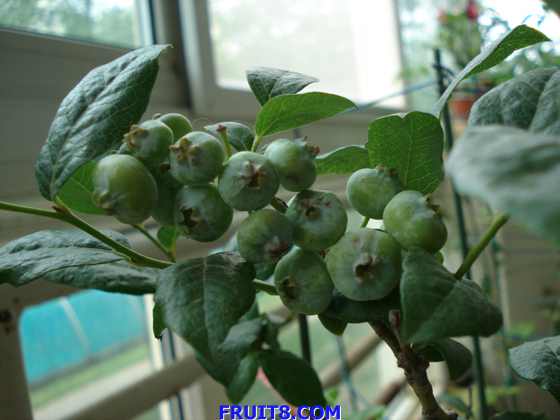 DSC03086.JPG