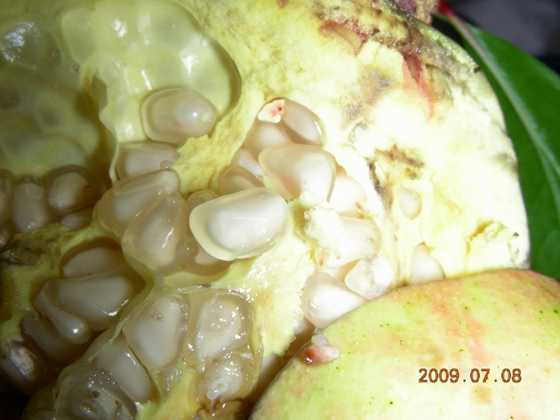 DSCN7709.JPG