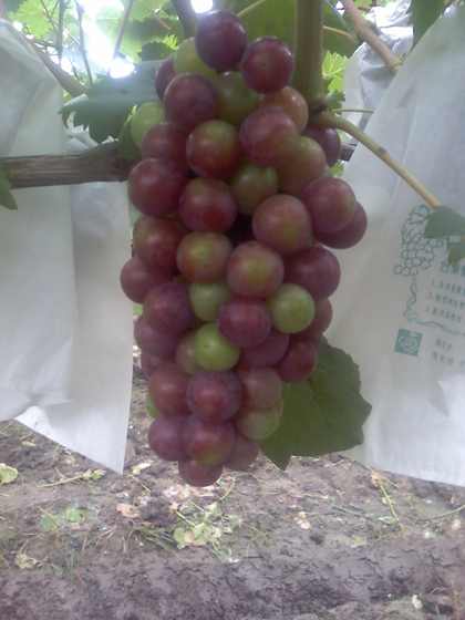 ת 09-07-09_1605.jpg