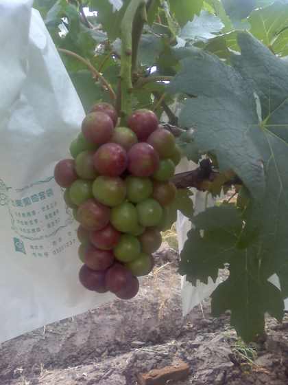 ת 09-07-09_1558.jpg