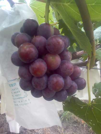 ת 09-07-09_1600.jpg
