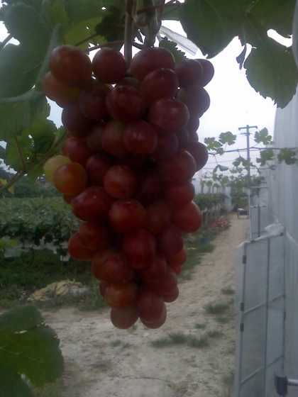 ת 09-07-09_1617.jpg