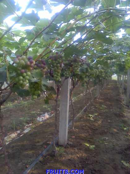 ת 09-07-09_0750.jpg