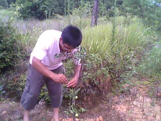 IMG0156A.jpg