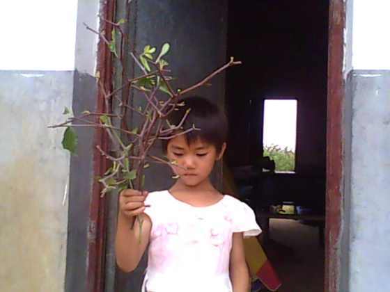IMG0155A.jpg