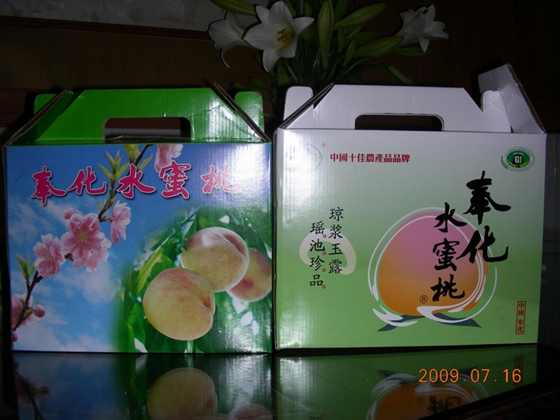 DSCN8022.JPG