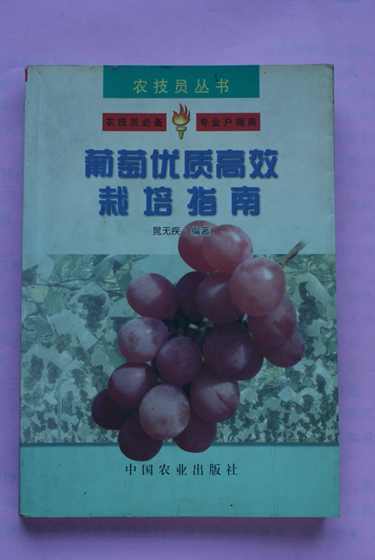 DSC00088.JPG