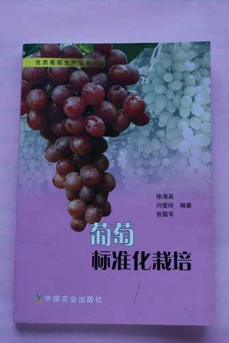 DSC00102.jpg