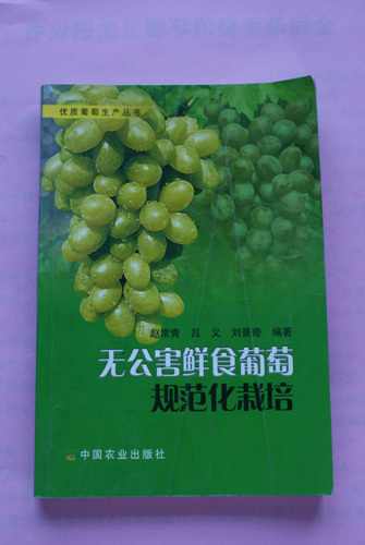 DSC00107.jpg