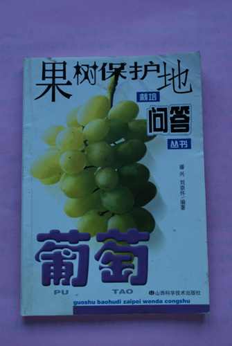 DSC00124.jpg