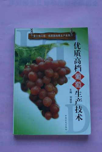 DSC00127.jpg
