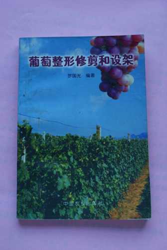 DSC00135.jpg