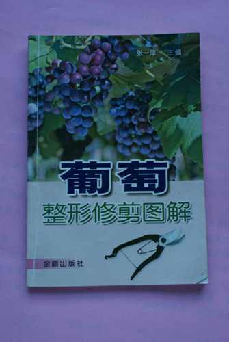 DSC00137.jpg