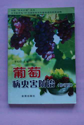 DSC00140.jpg