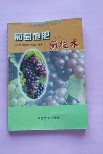 DSC00139.jpg