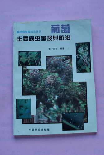 DSC00146.jpg