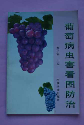 DSC00143.jpg