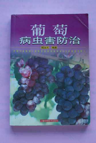 DSC00144.jpg