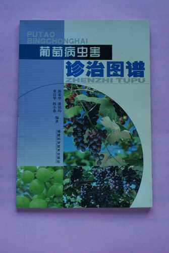 DSC00142.jpg