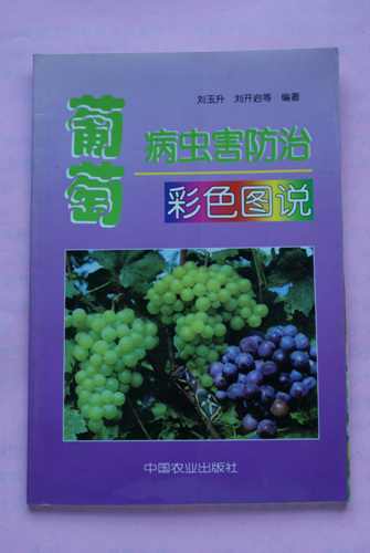 DSC00147.jpg