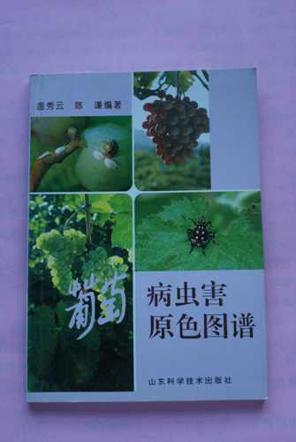 DSC00148.jpg