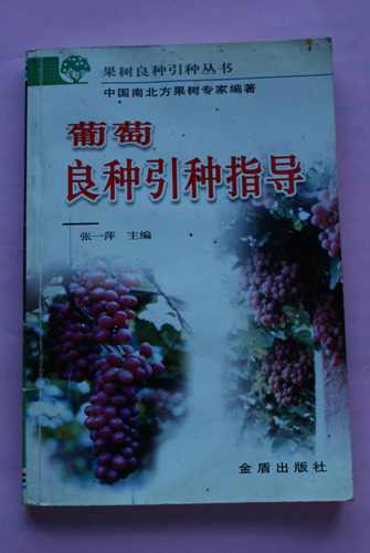 DSC00157.jpg