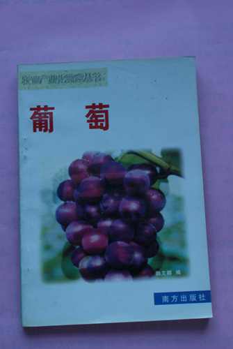DSC00166.jpg