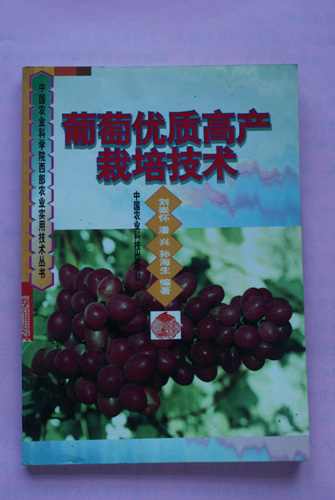DSC00174.jpg