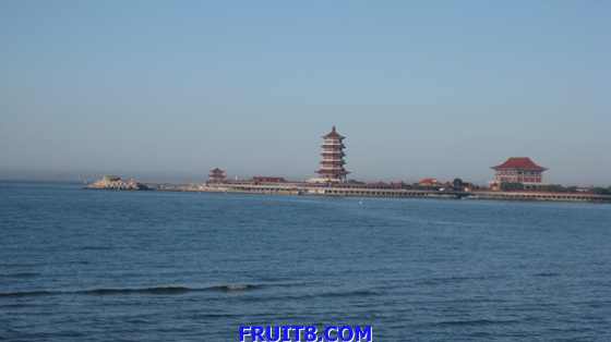 tangshan&shandong 570.jpg