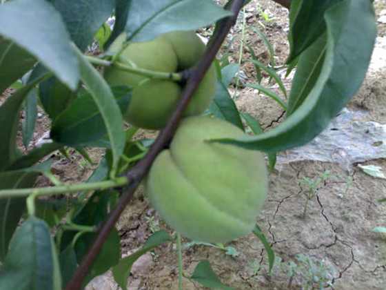 290720091560.jpg