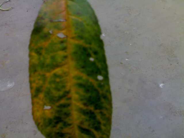 300720091578.jpg