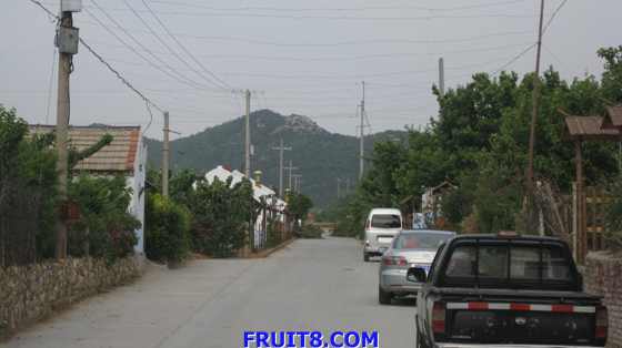 tangshan&shandong 318.jpg