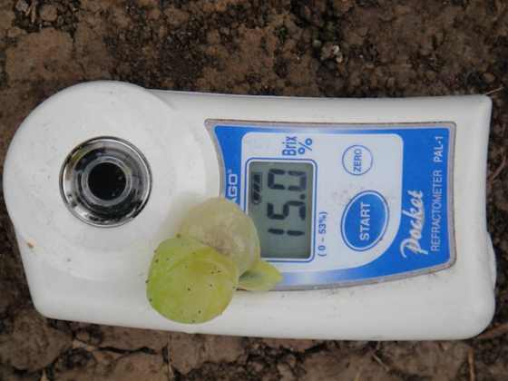 DSC00184 (����).JPG