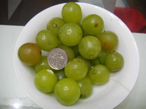 DSC00186 (����).JPG