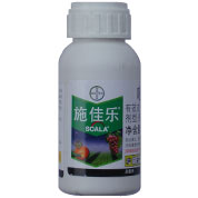 80ba72ee-caaf-46cd-9fbb-b9e3f4e3f0b1.jpg