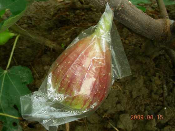 DSCN8886.JPG