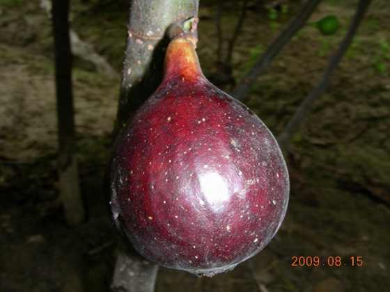 DSCN8908.JPG
